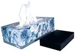 BLACK BOX- Hidden Stealth Tissue Box Camera