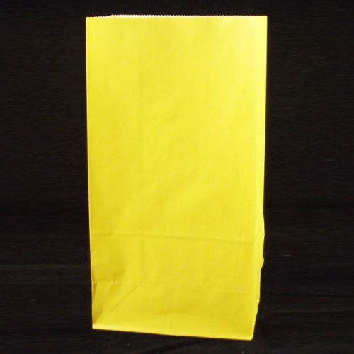 Solid Color Paper Sack Lunch Bags, Yellow, 5.3125