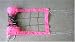 Sporting Goods : Economy Volleyball Net Pink
