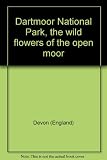 Dartmoor National Park, the wild flowers of the open moor
