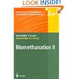Biomethanation II (Advances in Biochemical Engineering Biotechnology) (v. 2) by Birgitte K. Ahring, B.K. Ahring, I. Angelidaki, and J. Dolfing
