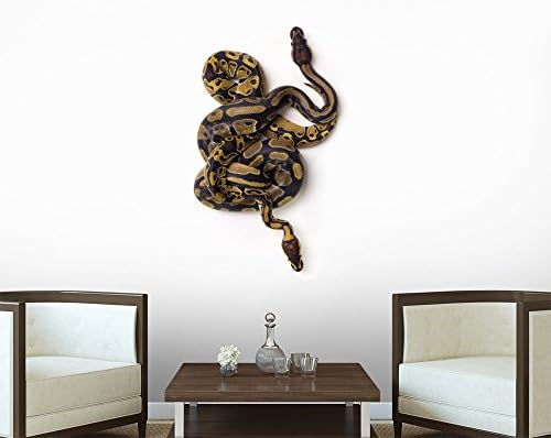 Wall Decals, Two Ball Python Snakes Intertwined Removable Peel and Stick Designer Fabric Wall Sticker Decal by Wallmonkeys - 36 Inches H x 25 Inches W