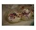 Sprinkles Cuisine Photographic Poster Print by Amanda McCarter-Smith, 10x8