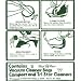 All Models Compact Vacuum Cleaner Replacement Bag (12 Pack)