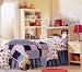 Off Campus Bookcase Headboard