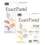 Wausau Paper Exact Pastel Copy/Laser/Inkjet Paper, Assortment #2, 20lb, Letter, 500 Sheets