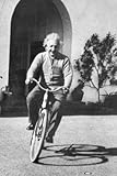Albert Einstein Bike On Campus 24x36 Poster Print, 24x36 Photography Poster Print, 24x36