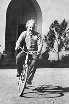 Albert Einstein Bicycle Art Poster Print - 61x91 cm