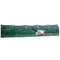 Green Kittywalk Lawn Version for Cats