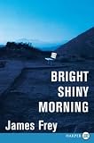 Bright Shiny Morning LP