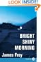 Bright Shiny Morning LP