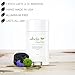 100% Natural and Aluminum Free High Performance Deodorant by Whole Clarity 3.1 Ounce [Lavender]