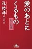 愛のあとにくるもの―紅(ホン)の記憶 (幻冬舎文庫)