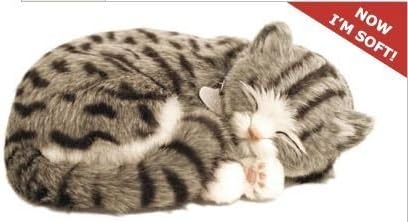 Perfect Petzzz new version 2011 Gray Tabby by CD3