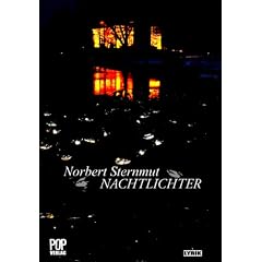Nachtlichter: Gedichte