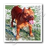 Dogs Pitbull - American Pitbull - Iron on Heat Transfers