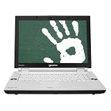 Toshiba Qosmio F45-AV423 15.4" Laptop (Intel Core 2 Duo Processor T5450, 2 GB RAM, 250 GB Hard Drive, Vista Premium)