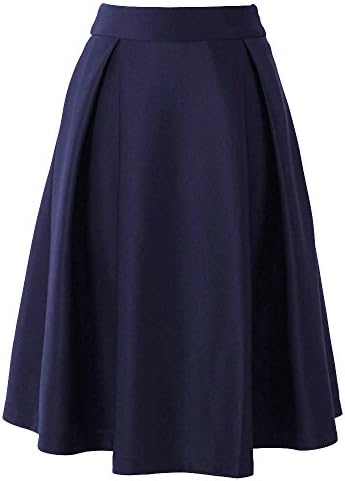 DEWSON Women's Hepburn High Waist Full A Line Pleated Swing Dress Midi Skirt 2 Blue
