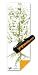 Yogamatic Eco-friendly Printed Yoga Mat (Tree of Life)