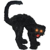 Scaredy Cat with Light Up Eyes