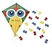 Miles Kimball Personalized Childrenâ€™s Bird Kite, Colorful Kite with Custom Name for Kids
