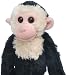 Plush Hanging Black Capuchin Fuzzy Fella 17