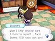 Animal Crossing: Wild World (Nintendo DS)