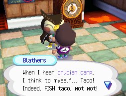Animal Crossing: Wild World (Nintendo DS)