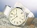 Steinhausen Men's Dunn Horitzon Thin Swiss Quartz Silver Watch #TW493S