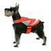 Lighted Pet Vest...