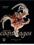 Regard sur les coquillages