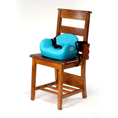 Imagen 2 de Keekaroo Sillita adaptable - Agua