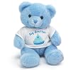 Blue "Big Brother" Teddy Bear Plush Stuffed Animal