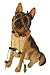German Shepherd-Sandicast Pick of The Litter Christmas Ornament