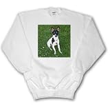 Dogs Fox Terrier - Toy Fox Terrier 1 - Sweatshirts