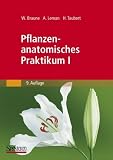 Pflanzenanatomisches Praktikum I: Zur Einf�hrung in die Anatomie der Vegetationsorgane der Samenpflanzen - Wolfram Braune
