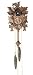 Kassel Black Forest Cuckoo Clock, Made in Germany