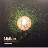 Am I Going Insane [12" VINYL]