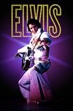Elvis (White Suit) Gold Wood-Mounted Music Poster Print - 24 X 36