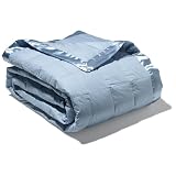 Pinzon Full / Queen Down Blanket - Sky Blue