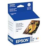 Epson America Inc Stylus C60 color ink cartridge T029201