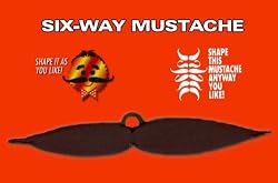 Fake Mustache 6 Way