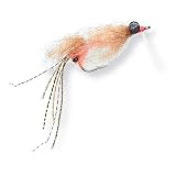 Enrico's Spawning Shrimp / Only Spawning Shrimp