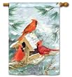Cardinals at Feeder Winter Standard House Flag