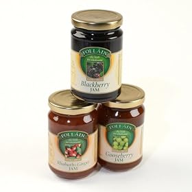 Follain Irish Jams - Rhubarb and Ginger (12 ounce)