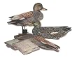 Gadwall Dozen Duck Decoys Duck