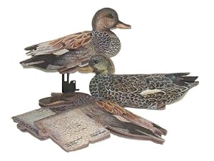 Gadwall Dozen Duck Decoys Duck