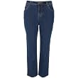 Gloria Vanderbilt Women's Plus 5 Pocket Amanda Jean
