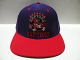 NBA Toronto Raptors Script Purple 2 Tone Snapback Retro Cap