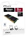 Electronics : PNY RAM for Mac Laptops 2 GB DDR2 667 MHz SO-DIMM PC5300 (SODI102GBN53002APP )